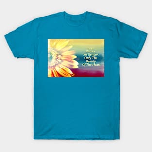 Gay Pride Saying T-Shirt